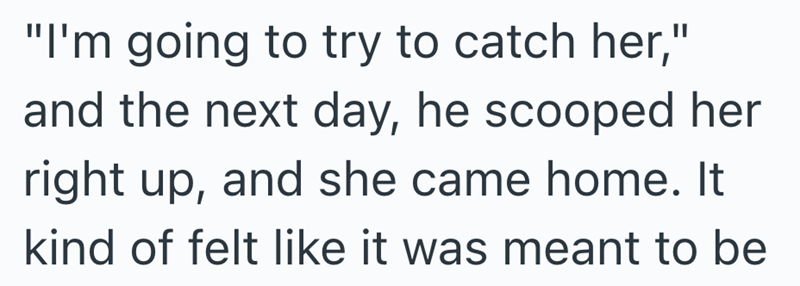 "I'm going to try to catch her," and the next day, he scooped her right up, and she came home. It kind of felt like it was meant to be