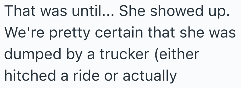 That was until... She showed up. We're pretty certain that she was dumped by a trucker (either hitched a ride or actually