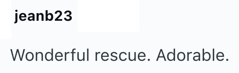 jeanb23 Wonderful rescue. Adorable.