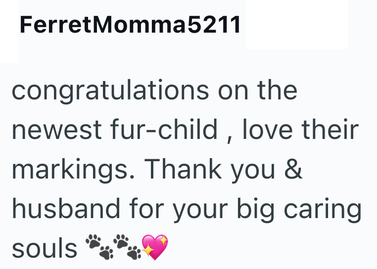FerretMomma5211 congratulations on the newest fur-child, love their markings. Thank you & husband for your big caring souls