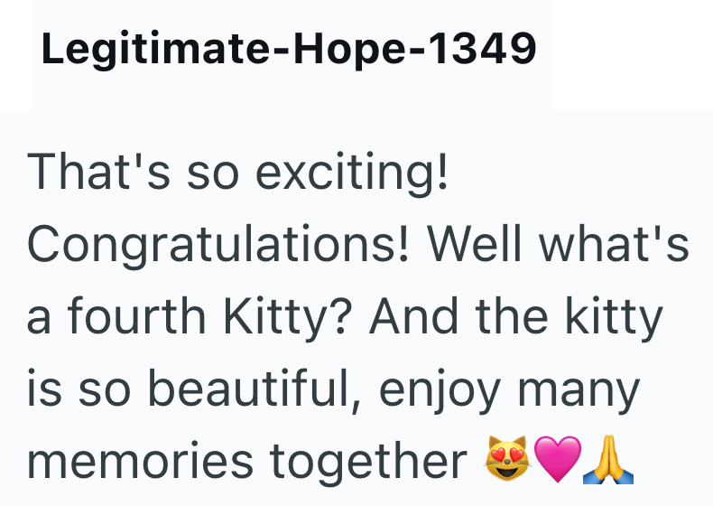 Legitimate-Hope-1349 That's so exciting! Congratulations! Well what's a fourth Kitty? And the kitty is so beautiful, enjoy many memories together ♥A