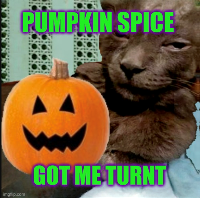 PUMPKIN SPICE imgflip.com GOT ME TURNT