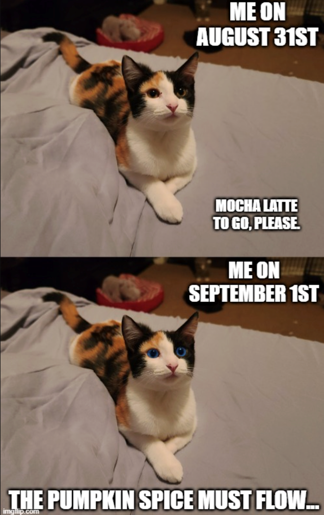 ME ON AUGUST 31ST MOCHA LATTE TO GO, PLEASE ME ON SEPTEMBER 1ST THE PUMPKIN SPICE MUST FLOW... imgflip.com
