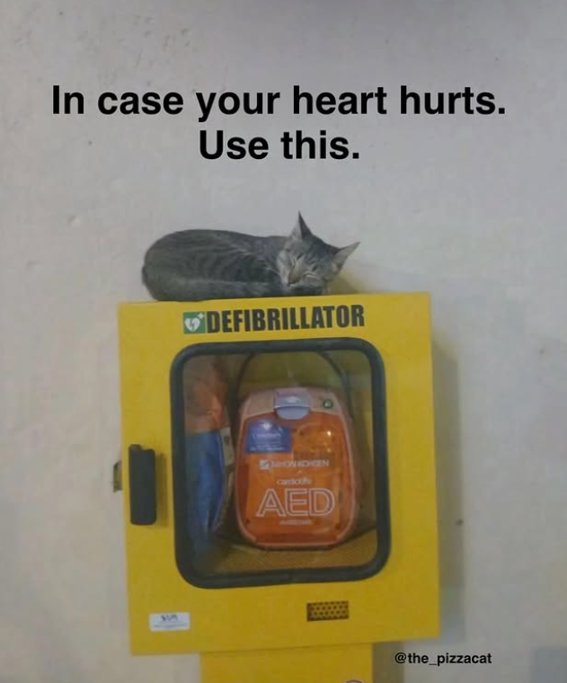 In case your heart hurts. Use this. 517 DEFIBRILLATOR GHON KDHGEN candcufe AED @the_pizzacat