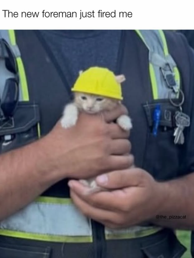 The new foreman just fired me @the_pizzacat