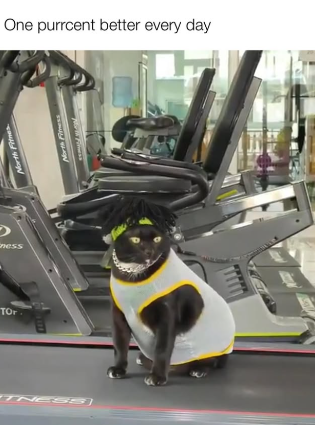 Eness TOr North Fitnes TNESS One purrcent better every day North Fitness North Fitness