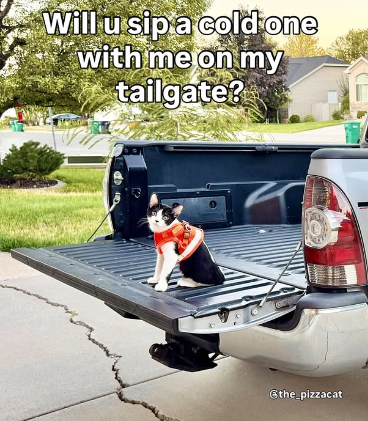 Will u sip a cold one with me on my tailgate? the_pizzacat