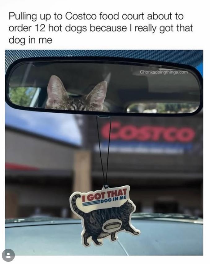: Pulling up to Costco food court about to order 12 hot dogs because I really got that dog in me Chonksdoingthings.com COSTCO PIGOT THAT DOG IN ME