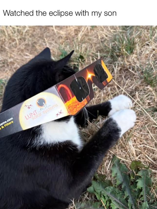 Watched the eclipse with my son tems.com & Filters LUNT solar systems
