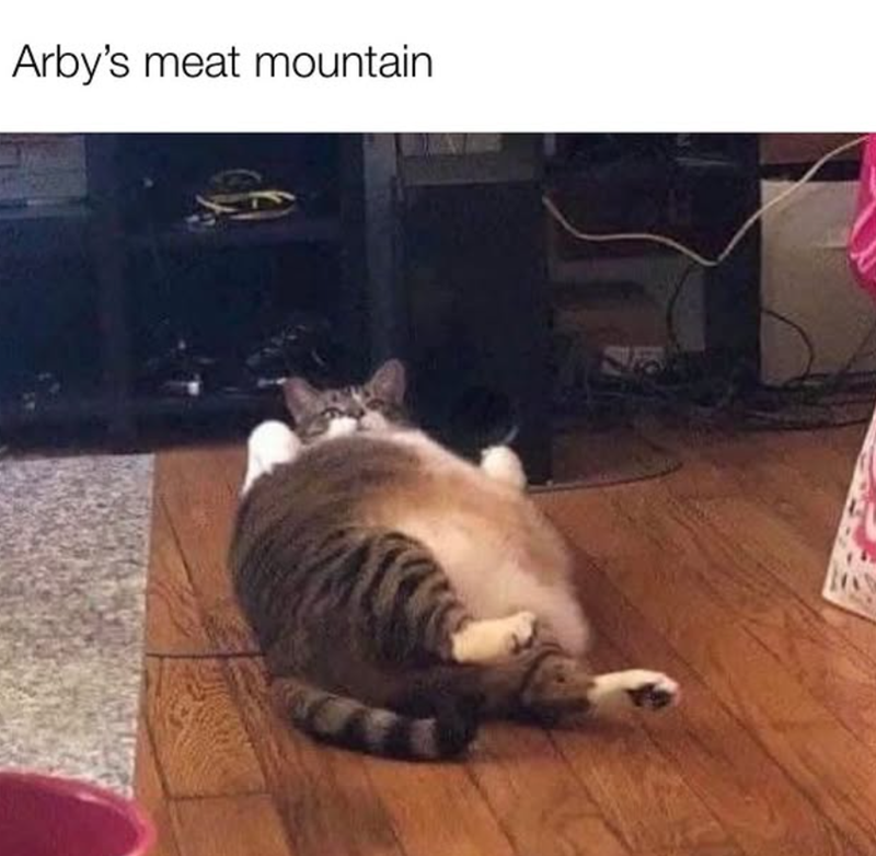 Arby's meat mountain