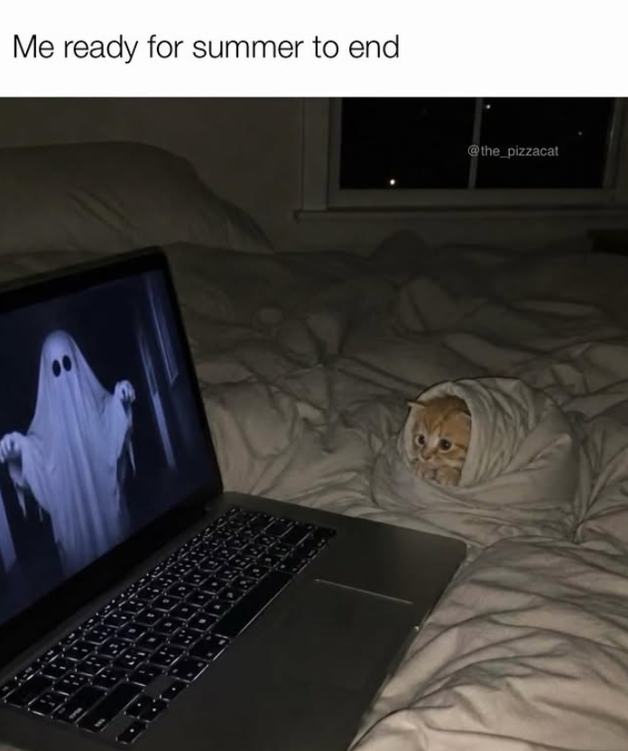 Me ready for summer to end @the_pizzacat
