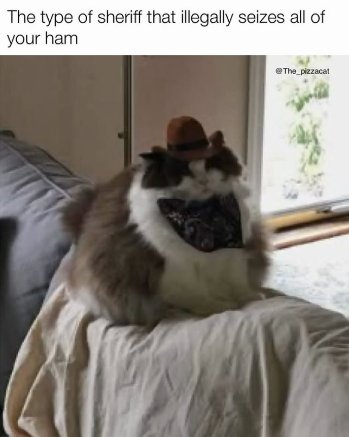 The type of sheriff that illegally seizes all of your ham @The_pizzacat