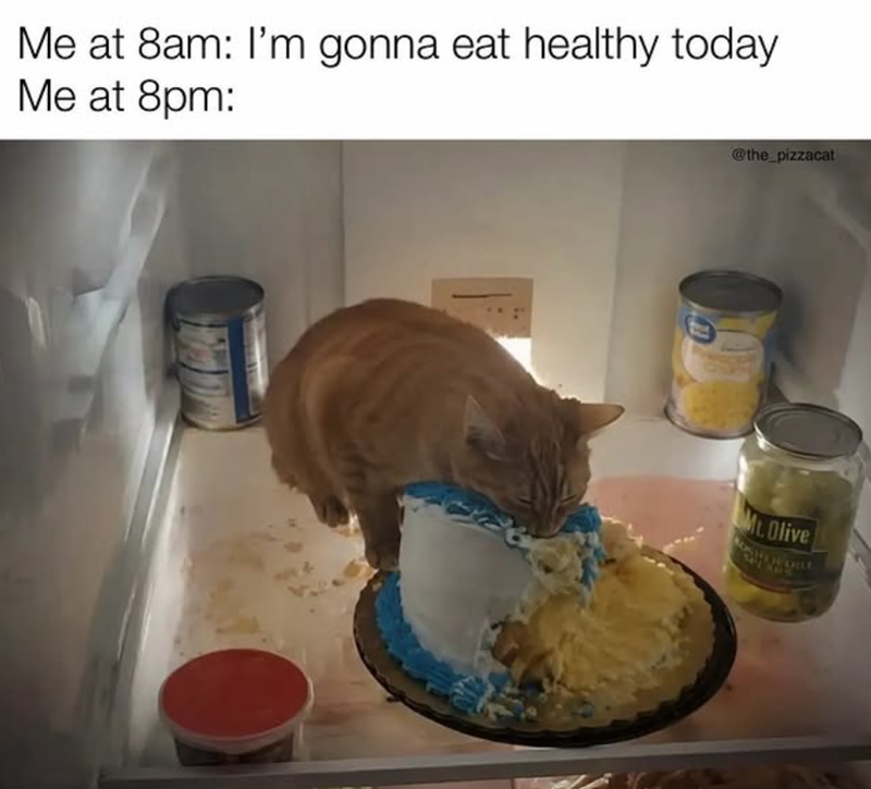 Me at 8am: I'm gonna eat healthy today Me at 8pm: @the_pizzacat Mt. Olive SELL AND
