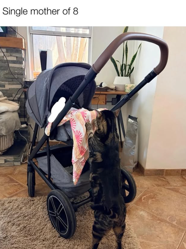 Single mother of 8