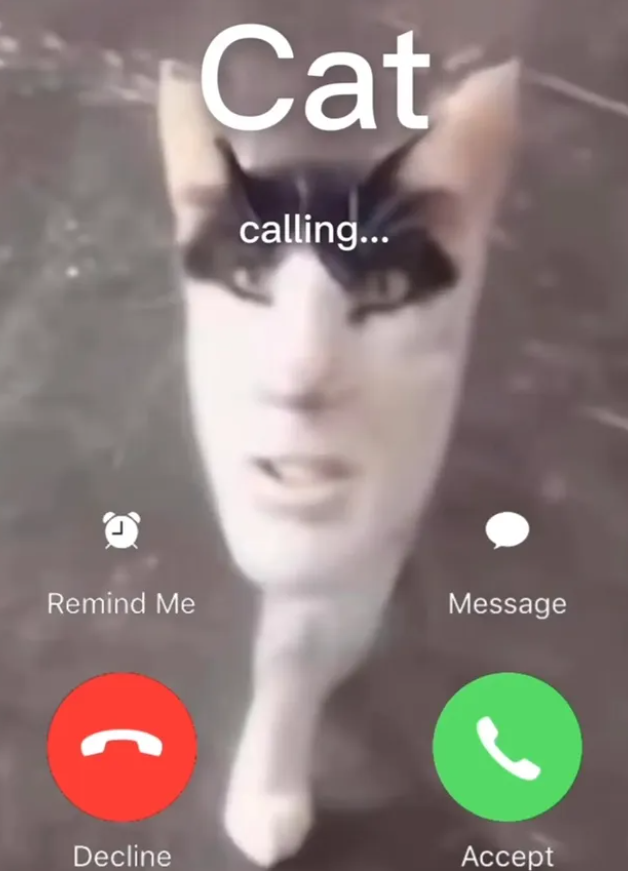 Cat calling... Remind Me Message Decline Accept
