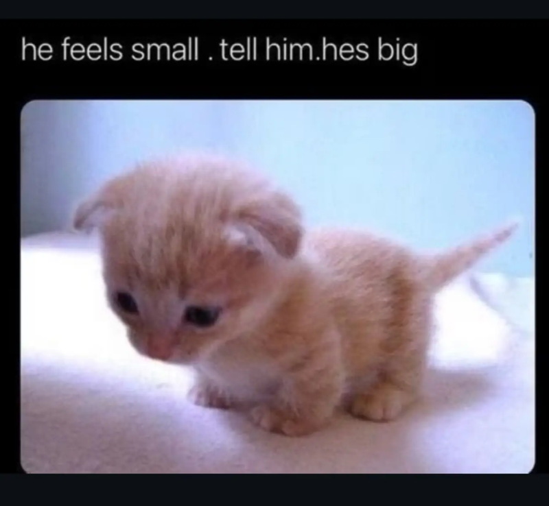 he feels small. tell him.hes big