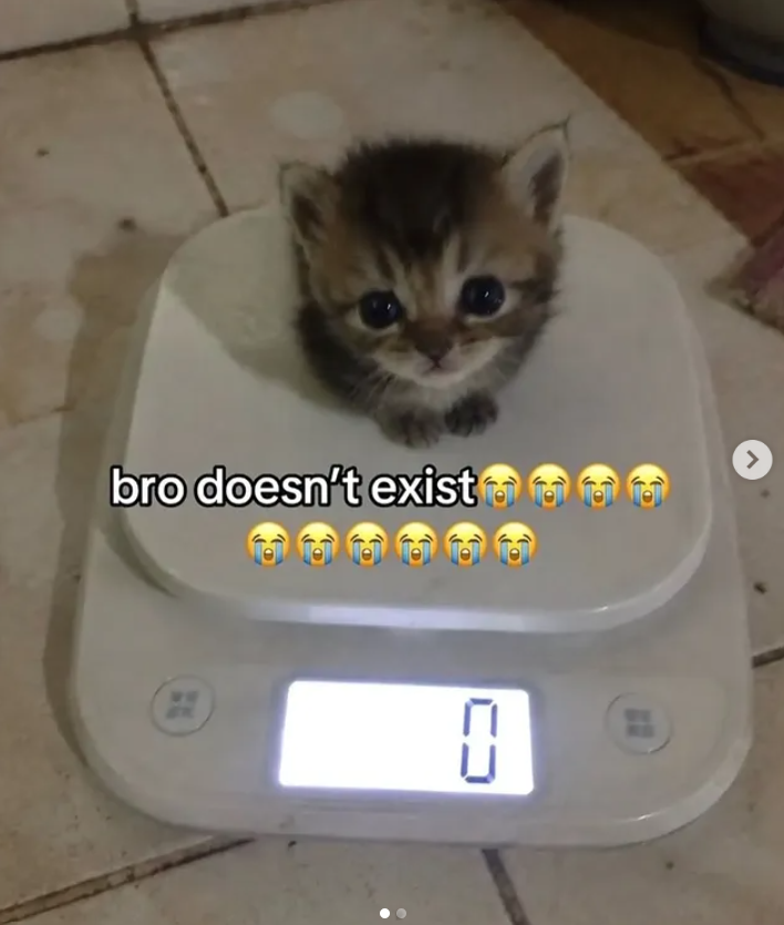 bro doesn't exist CD
