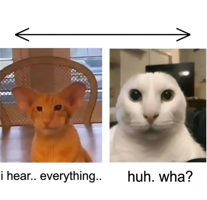 i hear.. everything.. huh. wha?
