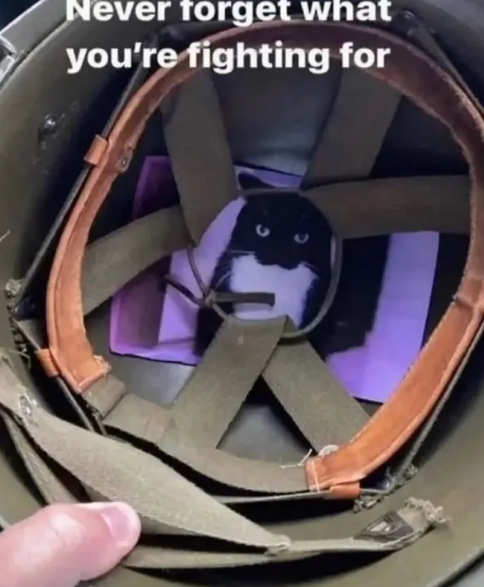 Never forget what you're fighting for