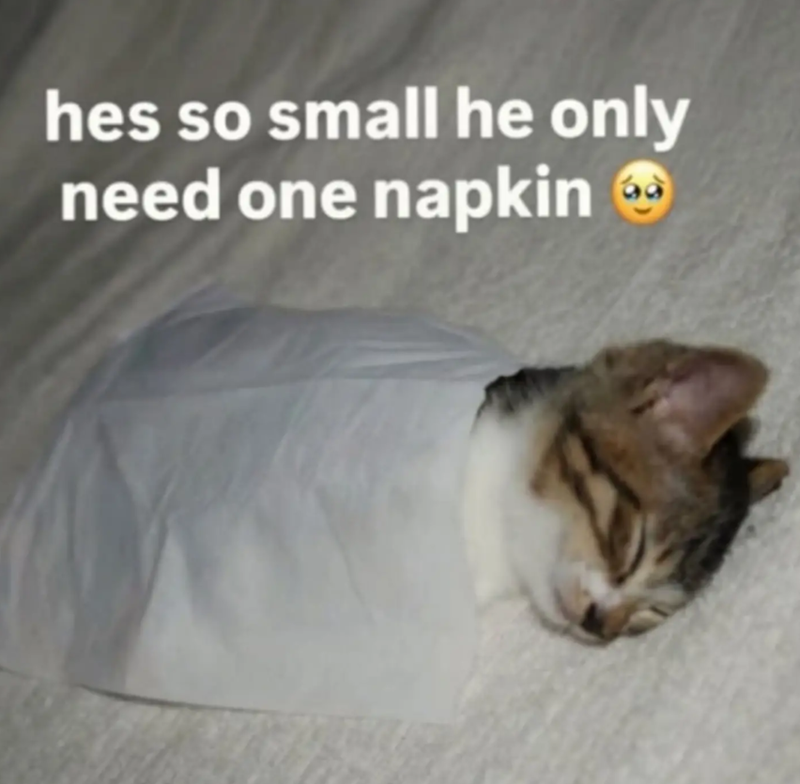 hes so small he only need one napkin