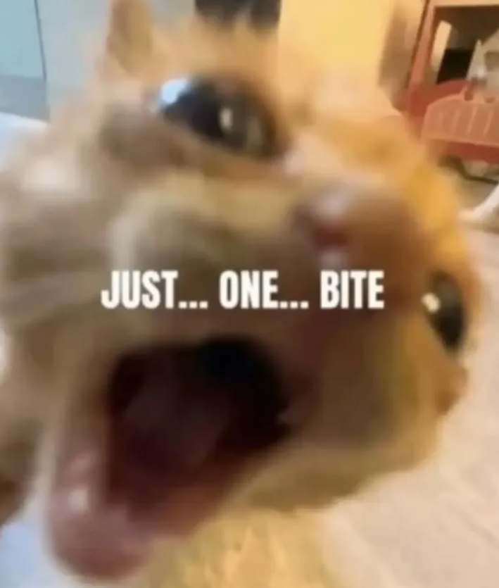 JUST... ONE... BITE