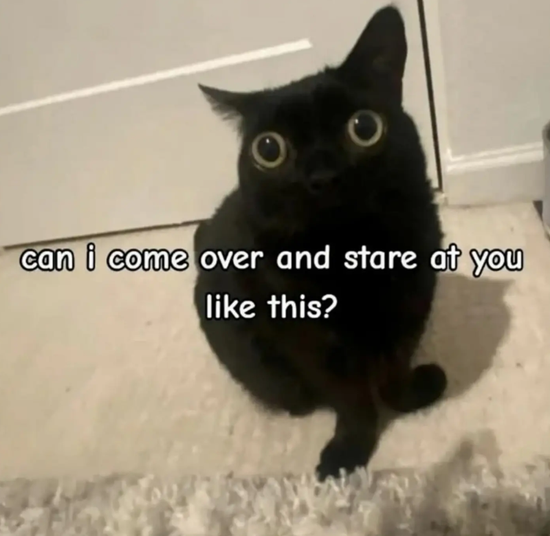 can i come over and stare at you like this?