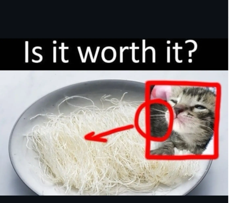 Is it worth it?