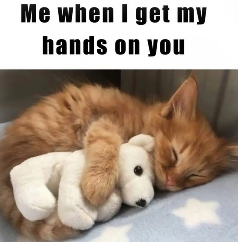 Me when I get my hands on you