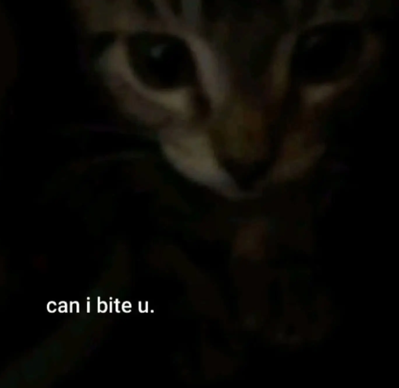 can i bite u.