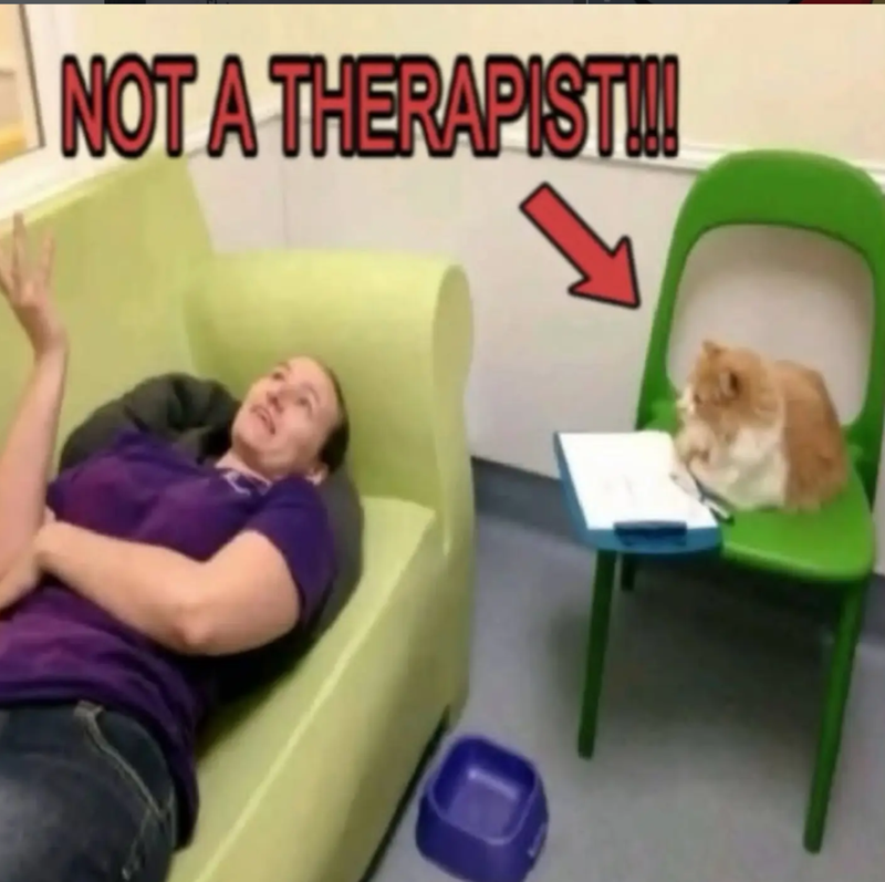 NOT A THERAPIST!!!