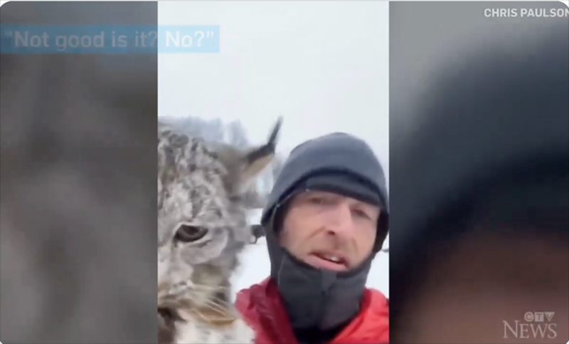 "Not good is it? No?" CHRIS PAULSON CTV NEWS