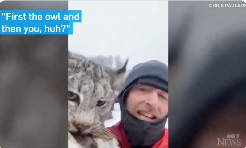 "First the owl and then you, huh?" CHRIS PAULSON ОПУ NEWS