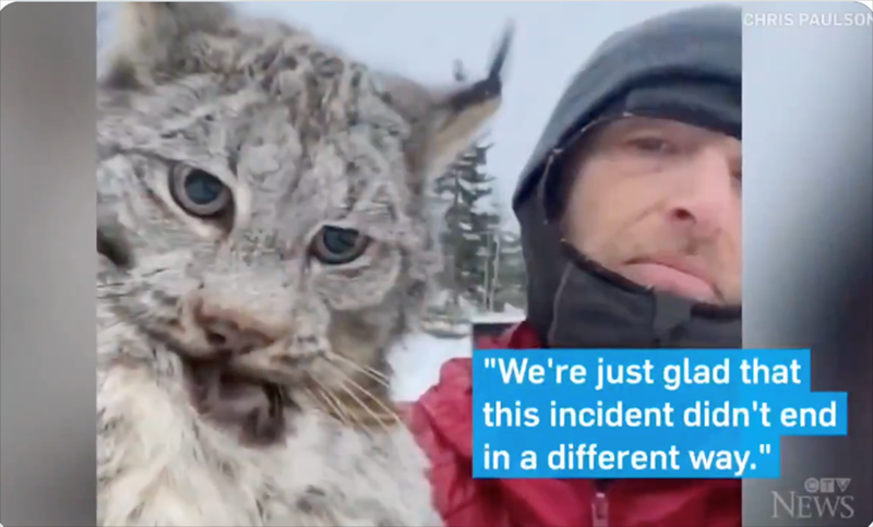 CHRIS PAULSON "We're just glad that this incident didn't end in a different way." NEWS