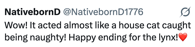 NativebornD @Nativeborn D1776 0 Wow! It acted almost like a house cat caught being naughty! Happy ending for the lynx!