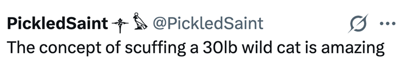 PickledSaint+@PickledSaint The concept of scuffing a 30lb wild cat is amazing
