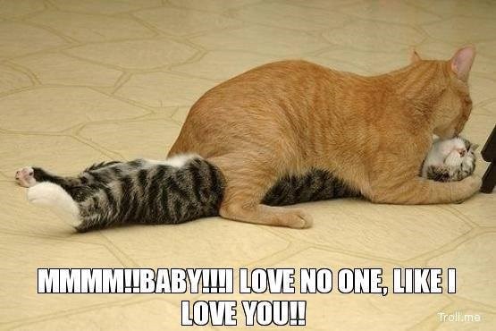 MMMM!!BABY!!!! LOVE NO ONE, LIKE I LOVE YOU!! Troll.me