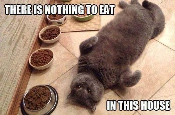 THERE IS NOTHING TO EAT IN THIS HOUSE