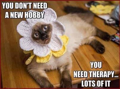 YOU DON'T NEED A NEW HOBBY YOU NEED THERAPY... LOTS OF IT