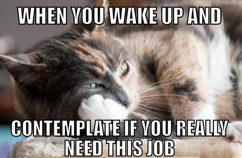 WHEN YOU WAKE UP AND CONTEMPLATE IF YOU REALLY NEED THIS JOB