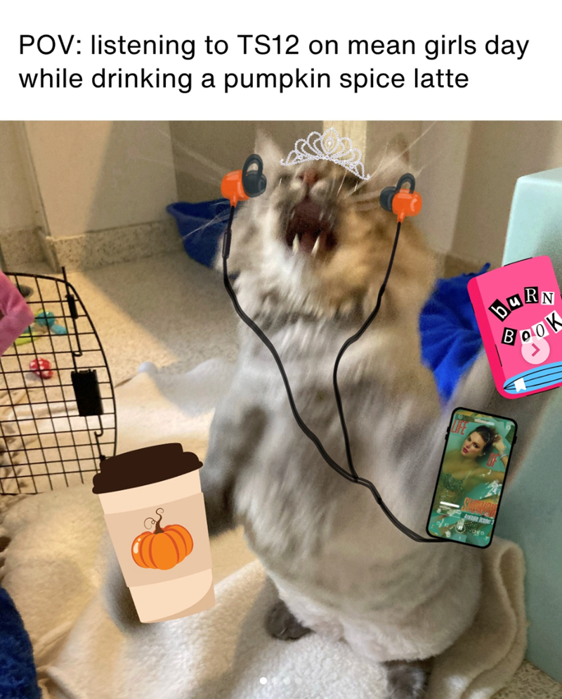 POV: listening to TS12 on mean girls day while drinking a pumpkin spice latte BURN BOOK