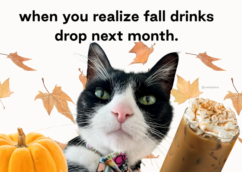 when you realize fall drinks drop next month. @catladybox