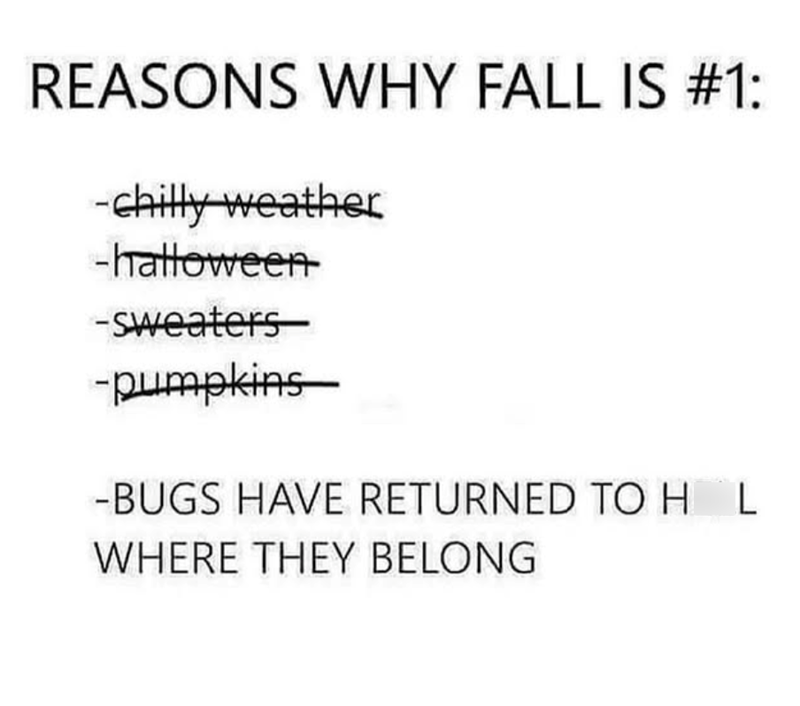 REASONS WHY FALL IS #1: -chilly weather -halloween -Sweaters -pumpkins -BUGS HAVE RETURNED TO HL WHERE THEY BELONG