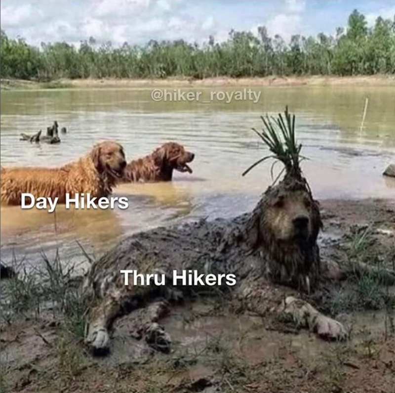 Day Hikers @hiker_royalty Thru Hikers