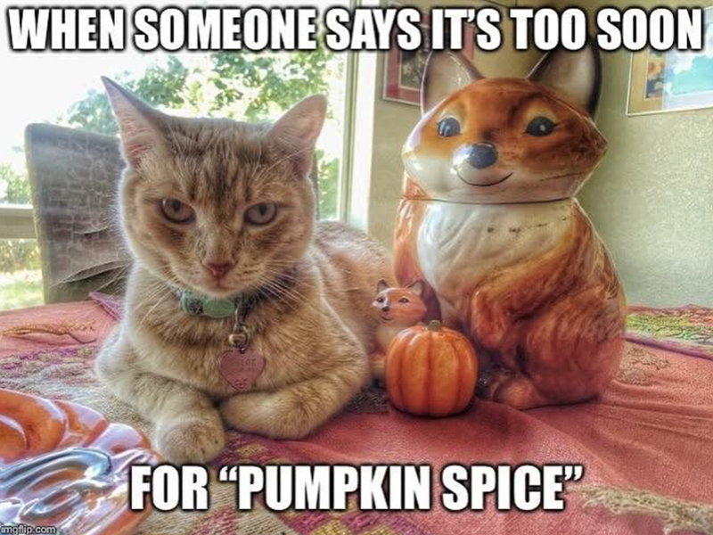 WHEN SOMEONE SAYS IT'S TOO SOON imgflip.com FOR "PUMPKIN SPICE"