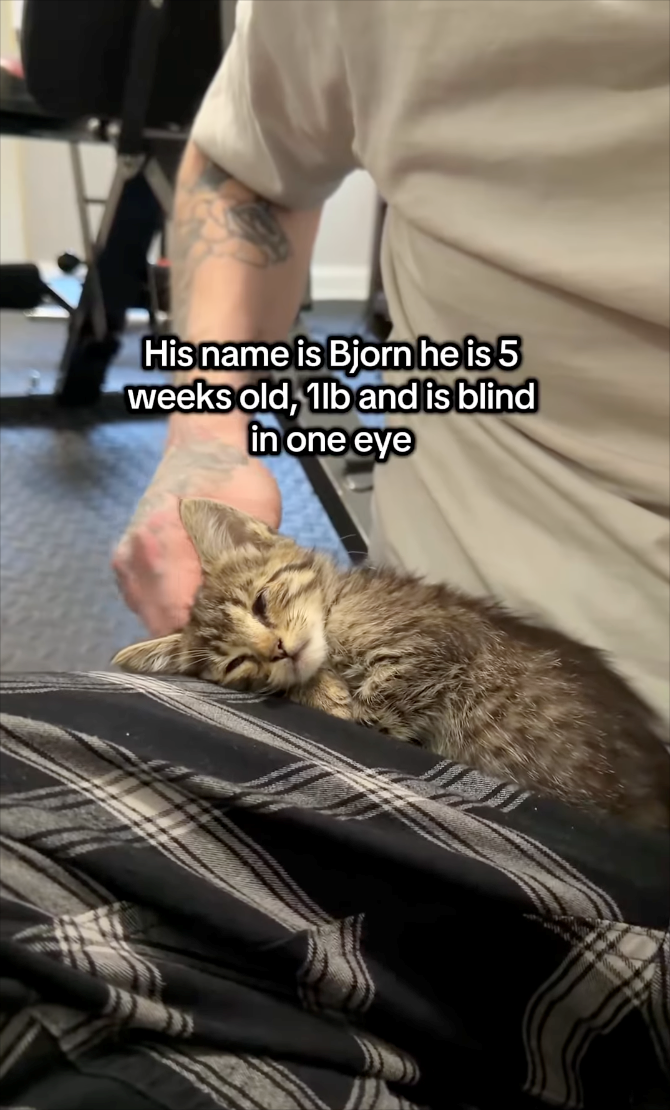 His name is Bjorn he is 5 weeks old, 1lb and is blind in one eye