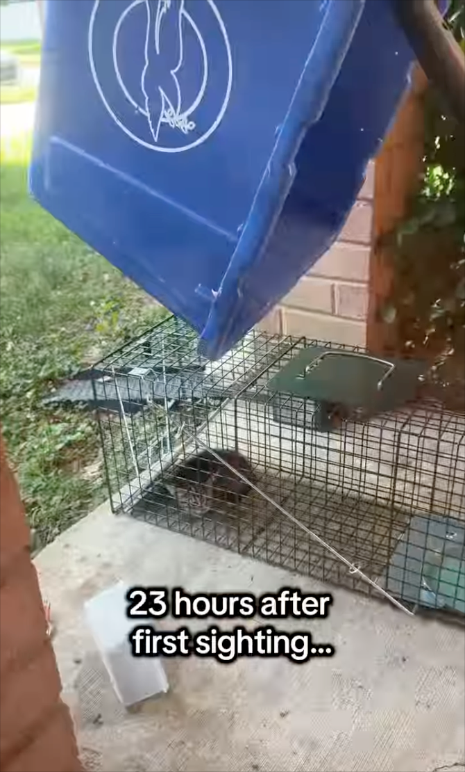 23 hours after first sighting...