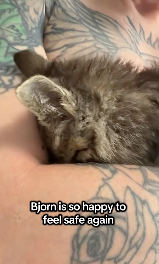 Bjorn is so happy to feel safe again