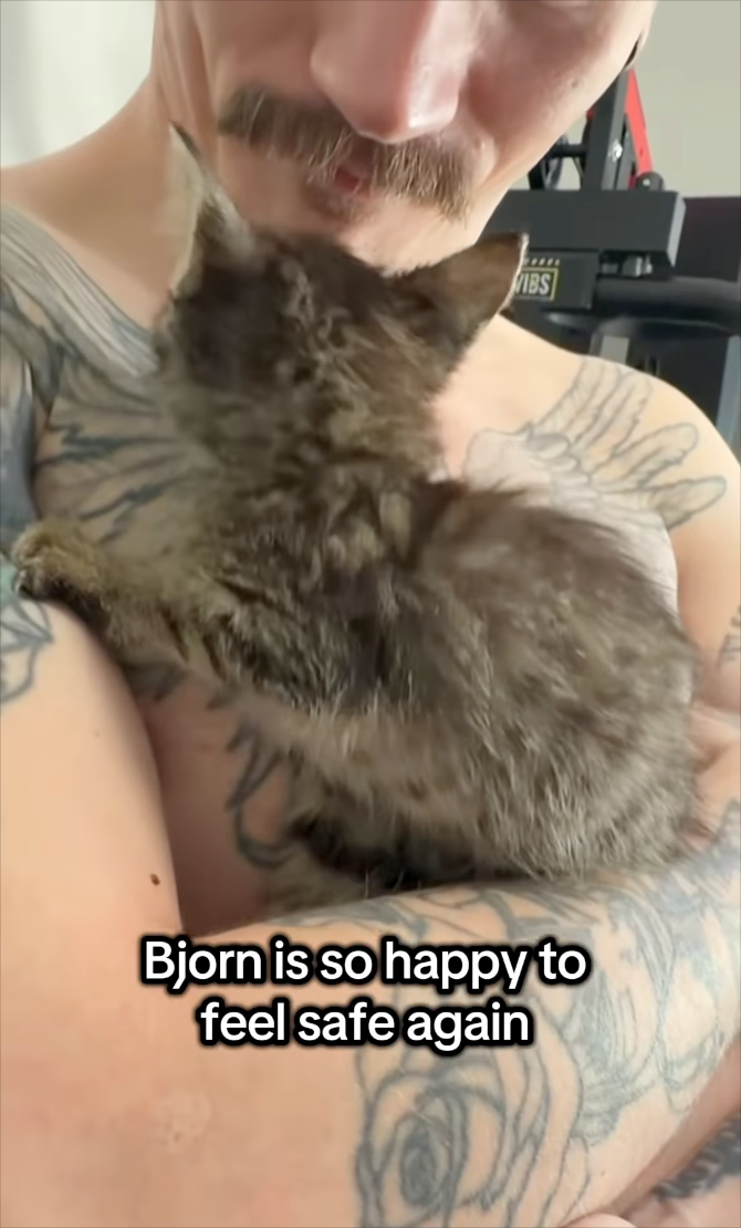 Bjorn is so happy to feel safe again