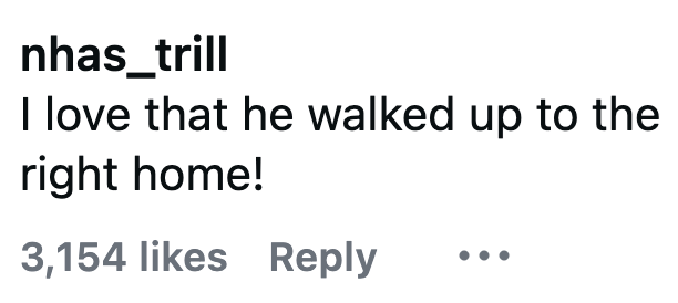 nhas_trill I love that he walked up to the right home! 3,154 likes Reply