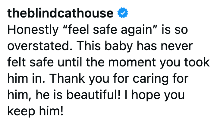 theblindcathouse ❤ Honestly "feel safe again" is so overstated. This baby has never felt safe until the moment you took him in. Thank you for caring for him, he is beautiful! I hope you keep him!